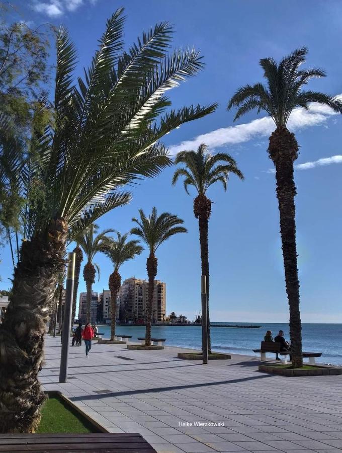 Carpe Diem Wifi * Torrevieja