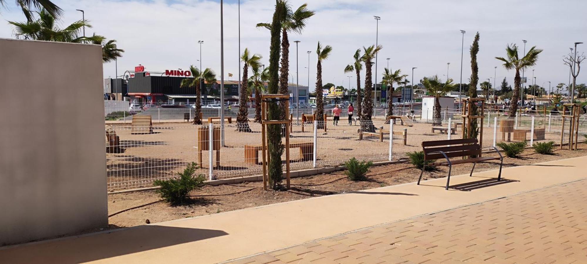 Carpe Diem Wifi * Torrevieja